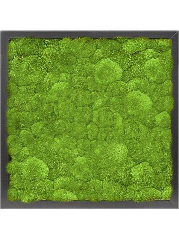 Картина из мха mdf ral 9005 satin gloss 100% ball moss