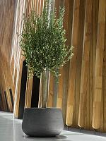 Кашпо Baq algar darcy low grey D37 H24 см