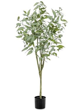 Эвкалипт шаровидный искусственный