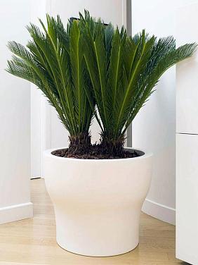 Кашпо Plastecnic Vaso Fit 55 белый (Италия)