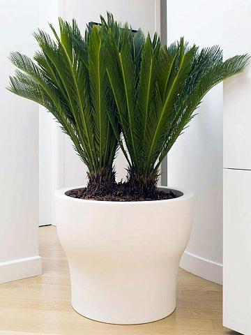 Кашпо Plastecnic Vaso Fit 55 белый (Италия) Кашпо Plastecnic Vaso Fit 55 белый (Италия)