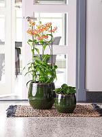 Кашпо Charlotte pot green D33 H28 см
