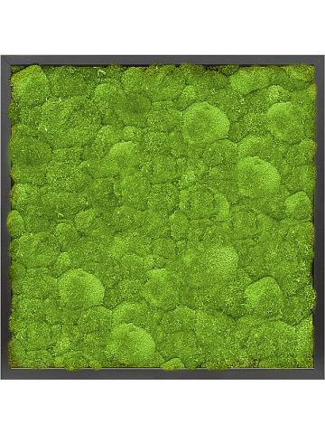 Картина из мха mdf ral 9005 satin gloss 100% ball moss Картина из мха mdf ral 9005 satin gloss 100% ball moss