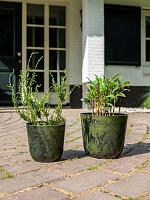 Кашпо Palermo pot marble green D13 H12 см Кашпо Palermo pot marble green D13 H12 см