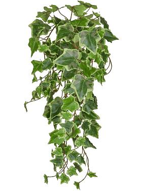 Плющ пестро-зеленый ампельный искусственный Плющ пестро-зеленый ампельный искусственный
