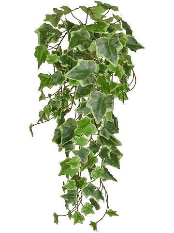 Плющ пестро-зеленый ампельный искусственный Плющ пестро-зеленый ампельный искусственный