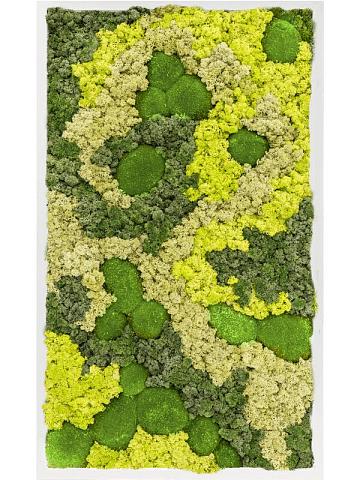 Картина из мха mdf ral 9010 satin gloss 30% ball moss 70% reindeer moss (mix)