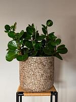 Кашпо Maxim pot shiny sand D20 H17 см