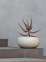 Кашпо Grigio low balloon antique white D73 H33 см