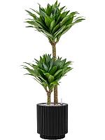 Кашпо Capi nature groove vase cylinder intense black D23 H25 см