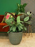 Кашпо Rinca pot shiny green D21 H19 см