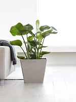 Кашпо Ecopots rotterdam 40 taupe L40 W40 H35 см