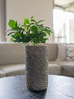 Кашпо Denzel pot tall shiny concrete D13 H24 см