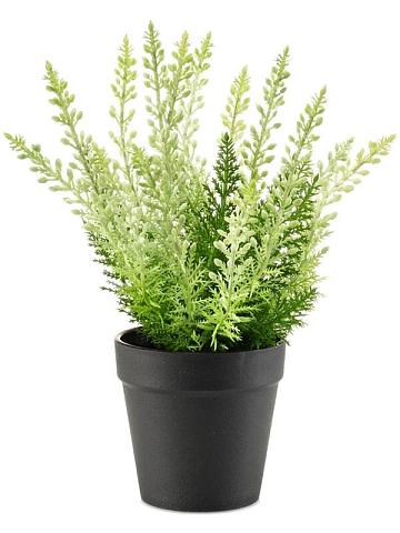 Эрика (вереск) искусственная Эрика (вереск) искусственная