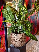 Кашпо Capi nature clay nl planter ball black gold D35 H34 см