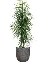 Кашпо Capi nature rib nl planter ball anthracite D35 H34 см