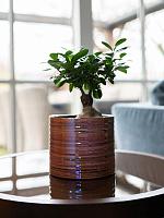 Кашпо Didi pot pearl pink D19 H16 см