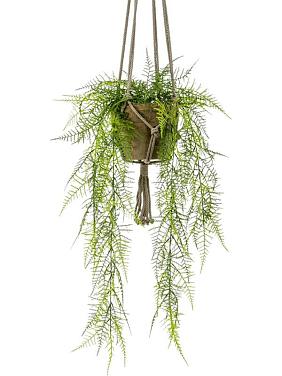 Папоротник Аспарагус перистый ампельный в подвесном горшке искусственный