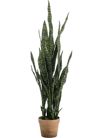 Сансевиерия зеленая в горшке искусственная Сансевиерия зеленая в горшке искусственная