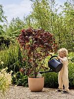 Кашпо Sereh round cool clay D25 H21 см