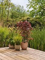 Кашпо Sereh round nordic green D25 H21 см