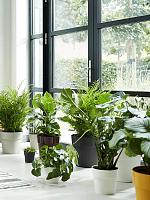 Кашпо B. for original round living black D24.7 H23.2 см