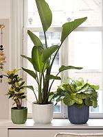 Кашпо Vibes fold round fern green D25 H23 см