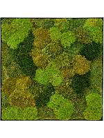 Картина из мха nova frame anthracite-concrete 20% flat and 80% exclusive moss (mix) L40 W40 H5 см