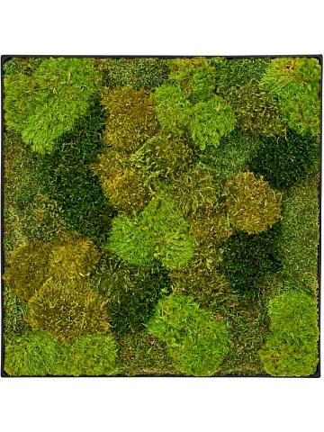 Картина из мха nova frame anthracite-concrete 20% flat and 80% exclusive moss (mix)