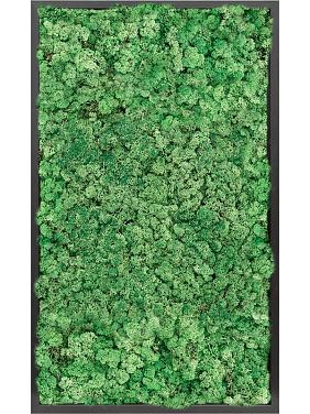 Картина из мха mdf ral 9005 satin gloss 100% reindeer moss (grass green) Картина из мха mdf ral 9005 satin gloss 100% reindeer moss (grass green)