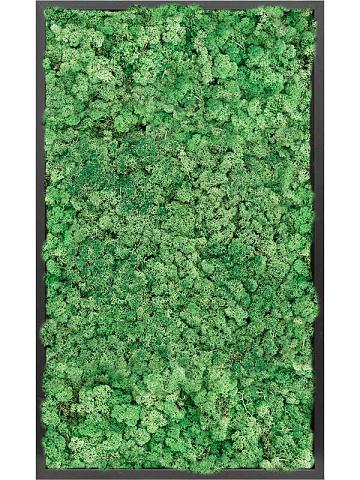 Картина из мха mdf ral 9005 satin gloss 100% reindeer moss (grass green) Картина из мха mdf ral 9005 satin gloss 100% reindeer moss (grass green)
