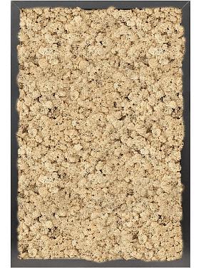 Картина из мха mdf ral 9005 satin gloss 100% reindeer moss (natural) Картина из мха mdf ral 9005 satin gloss 100% reindeer moss (natural)