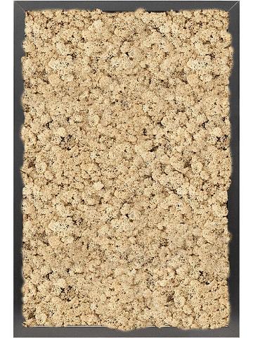 Картина из мха mdf ral 9005 satin gloss 100% reindeer moss (natural) Картина из мха mdf ral 9005 satin gloss 100% reindeer moss (natural)