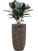 Кашпо Baq luxe lite universe layer partner bronze D38 H69 см Кашпо Baq luxe lite universe layer partner bronze D38 H69 см