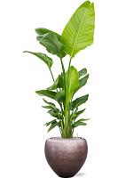 Кашпо Baq metallic silver leaf couple matt coffee (с техническим горшком) D50 H45 см Кашпо Baq metallic silver leaf couple matt coffee (с техническим горшком) D50 H45 см