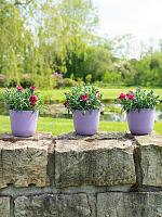 Кашпо Palermo pot lavender D13 H12 см Кашпо Palermo pot lavender D13 H12 см