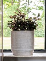 Кашпо John planter concrete L44 W15 H45 см