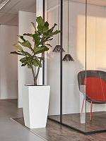 Кашпо Baq ecoline phoenix regular kubis L49 W49 H91 см Кашпо Baq ecoline phoenix regular kubis L49 W49 H91 см