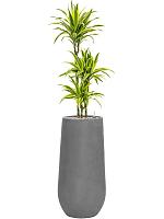 Кашпо Fiberstone nax m grey D33 H70 см Кашпо Fiberstone nax m grey D33 H70 см