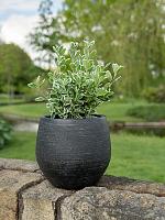 Кашпо Ciana pot black (набор 3 шт) D50 H45 см