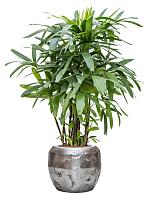 Кашпо Baq opus raw couple silver D50 H40 см