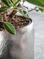 Кашпо Baq opus raw partner silver (с техническим горшком) D50 H105 см