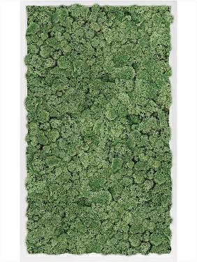 Картина из мха mdf ral 9010 satin gloss 100% reindeer moss (moss green) Картина из мха mdf ral 9010 satin gloss 100% reindeer moss (moss green)