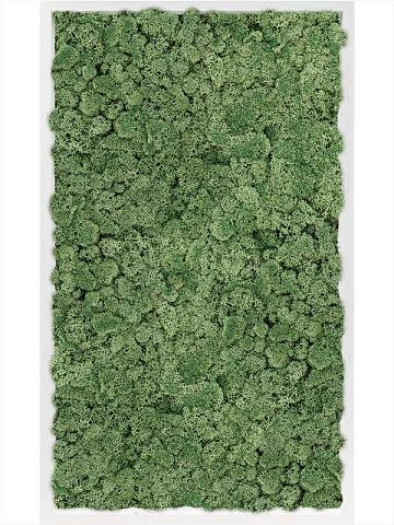 Картина из мха mdf ral 9010 satin gloss 100% reindeer moss (moss green) Картина из мха mdf ral 9010 satin gloss 100% reindeer moss (moss green)