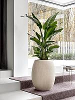 Кашпо Baq polystone coated plain balloon natural (с техническим горшком) D52 H68 см