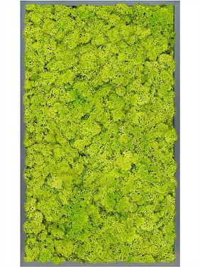 Картина из мха mdf ral 7016 satin gloss 100% reindeer moss (spring green) Картина из мха mdf ral 7016 satin gloss 100% reindeer moss (spring green)
