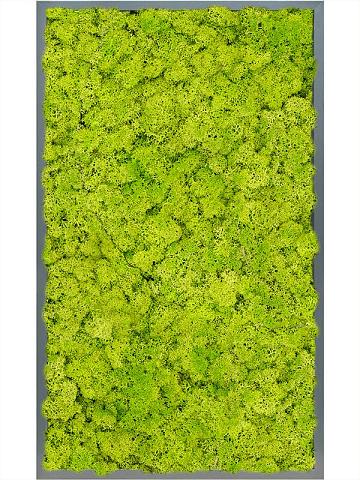Картина из мха mdf ral 7016 satin gloss 100% reindeer moss (spring green) Картина из мха mdf ral 7016 satin gloss 100% reindeer moss (spring green)
