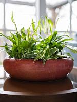 Кашпо Nine bowl old pink D32 H9 см