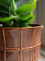 Кашпо Noemi pot coral D18 H14 см Кашпо Noemi pot coral D18 H14 см