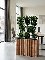 Кашпо Baq radia rectangle natural (с техническим горшком) L107 W38 H75 см